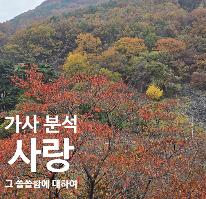  양희은 "사랑 그 쓸쓸함에 대하여" 가사 심리적 분석