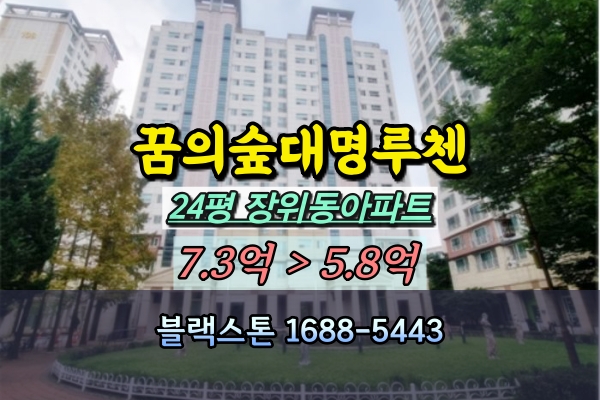  장위동 꿈의숲대명루첸 경매 24평