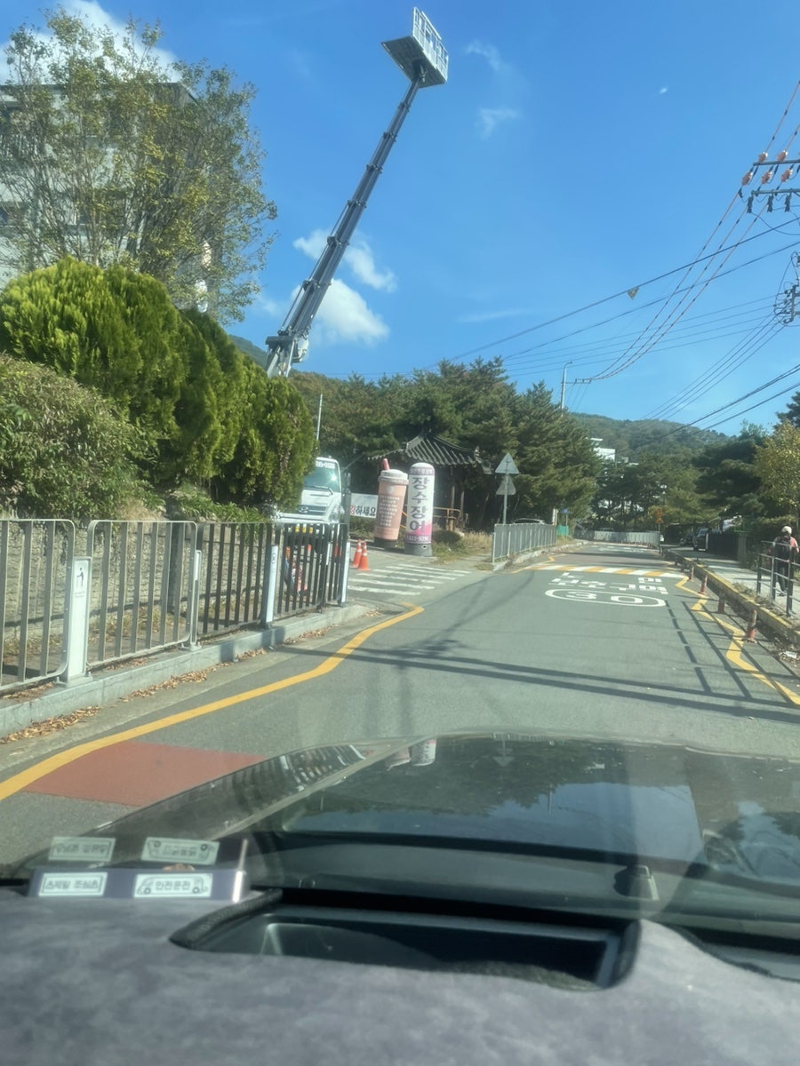 장수장어 사진 1