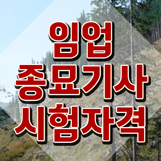  임업종묘기사 시험접수 임업종묘기사 응시자격 온라인으로 쉽고 빠르게 완료한 노하우