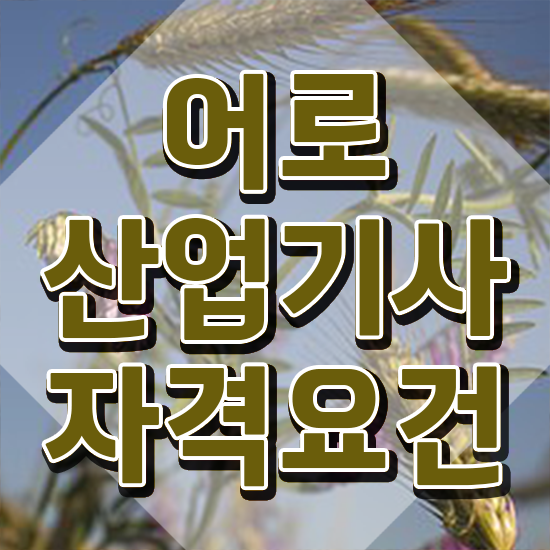  어로산업기사 시험응시조건 인강으로 빠르게 끝낸 비법