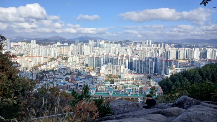  [해파랑길/25일차]울산 맨발걷기하기좋은 곳 어싱 핫플 6코스 시골길의 연속 5코스 후기