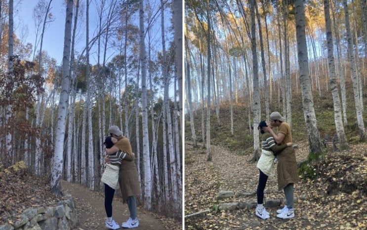  [강원도 여행 가볼만한 곳] 당일치기 데이트 인제 자작나무 숲(+주차정보,운영시간)