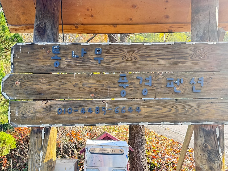 통나무풍경펜션 사진 2