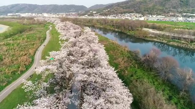  , 사회복지사2급 중년 직장인도 온라인 수업으로 손쉽게