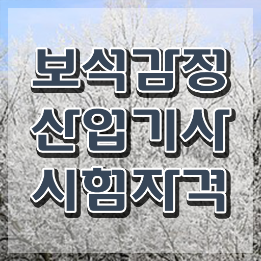  보석감정산업기사 하는일 보석감정산업기사 취득자격 온라인으로 편하게 완료한 방법