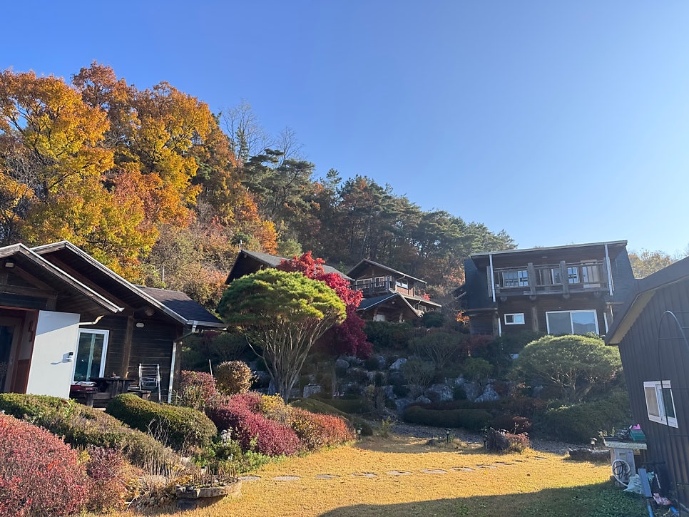 통나무풍경펜션 사진 1
