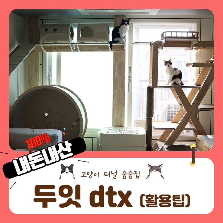 두잇 트레인 익스프레스 터널 dtx 고양이터널 내돈내산 활용팁