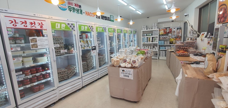  무인 계란 할인점 창업 정보 매출액 비용 총정리