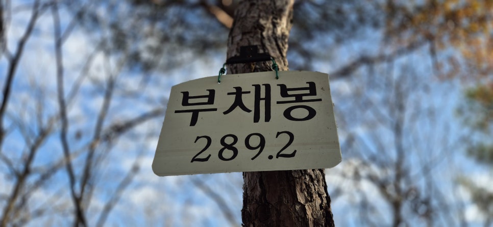 잣방산 사진 6
