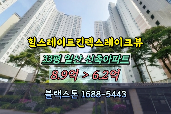  힐스테이트킨텍스레이크뷰 경매 일산 장항동 신축아파트