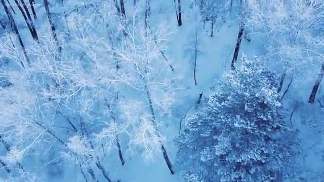  정보처리산업기사 취업 , 정보처리산업기사 응시조건 온라인 과정으로 간단하게 준비한 팁