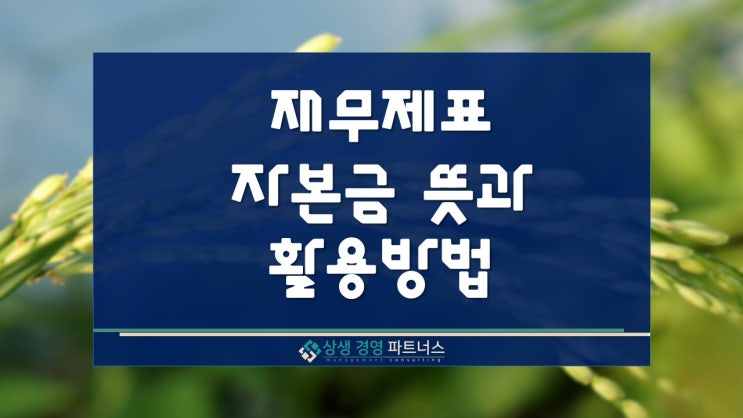 재무제표 자본금의 뜻과 활용방법