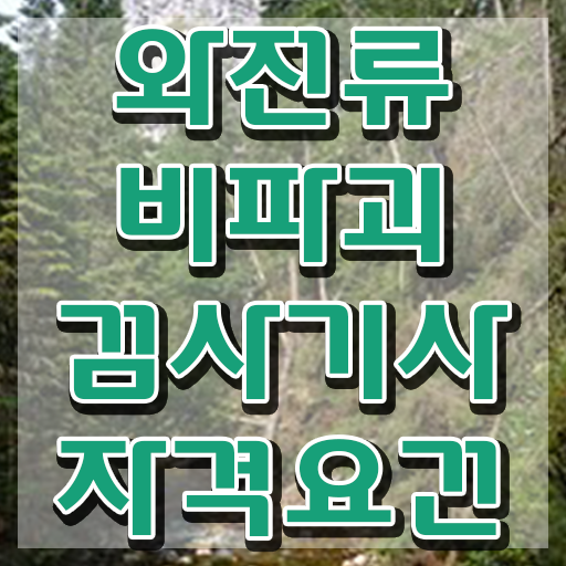  와전류비파괴검사기사 교육 와전류비파괴검사기사 시험자격 독학으로 빠르게 준비한 비법