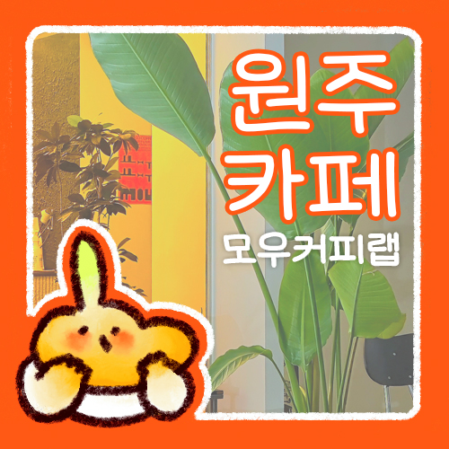  모우 커피 랩  원주 지정면 카페