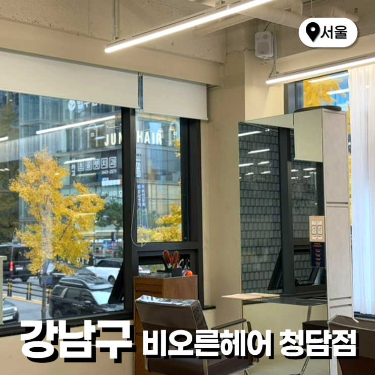  강남구청역 청담동 미용실 비오른헤어 청담점 백아현 디자이너 cs컬 후기