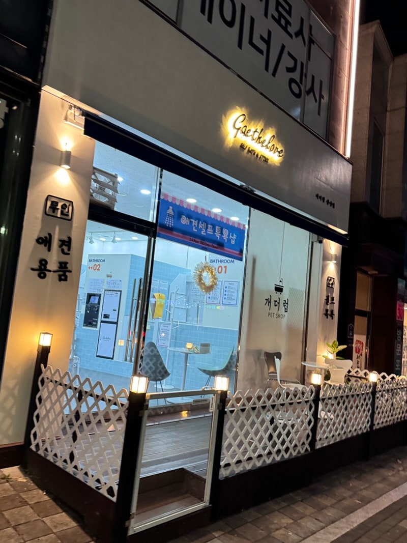 사진 5