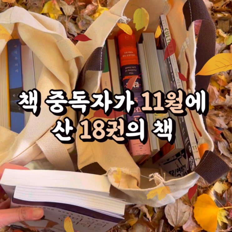2024 추천도서 요즘 읽을만한 책 1등 도서 인플루언서가 11월에 산 18권의 책은