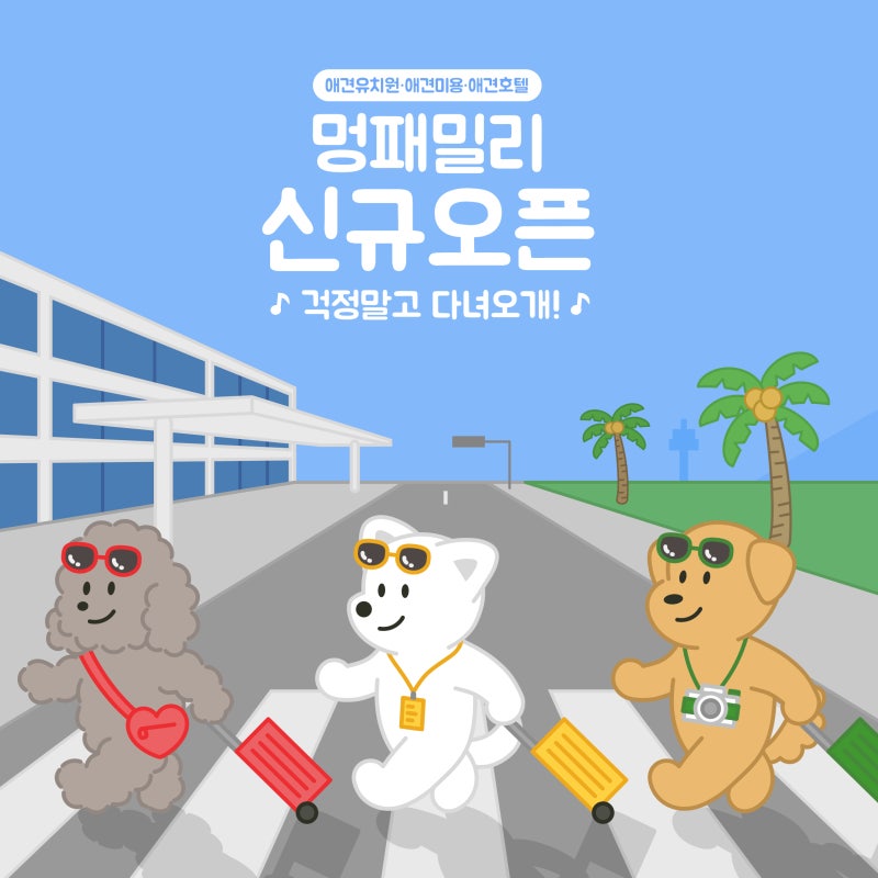 사진 4