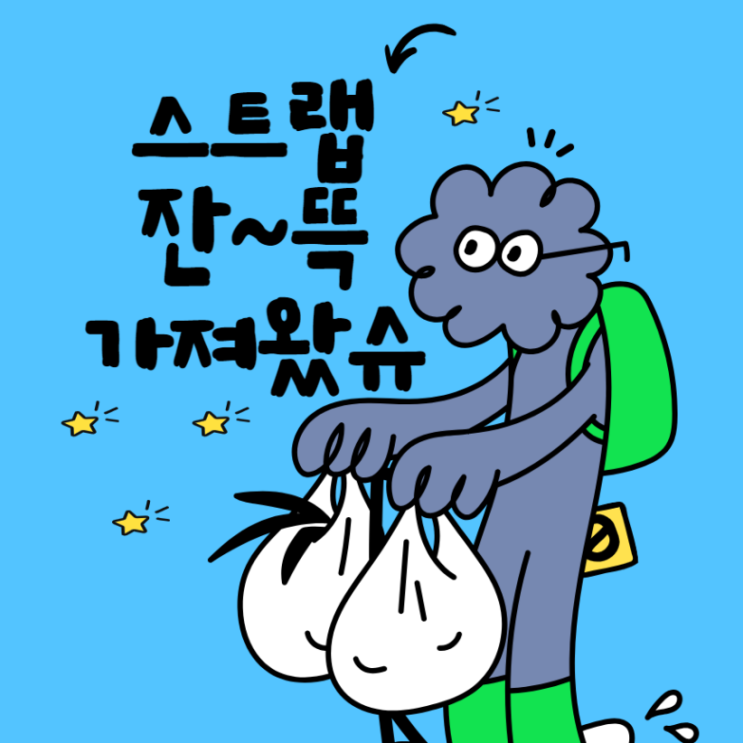  예쁜 스트랩 들고 왔어요 