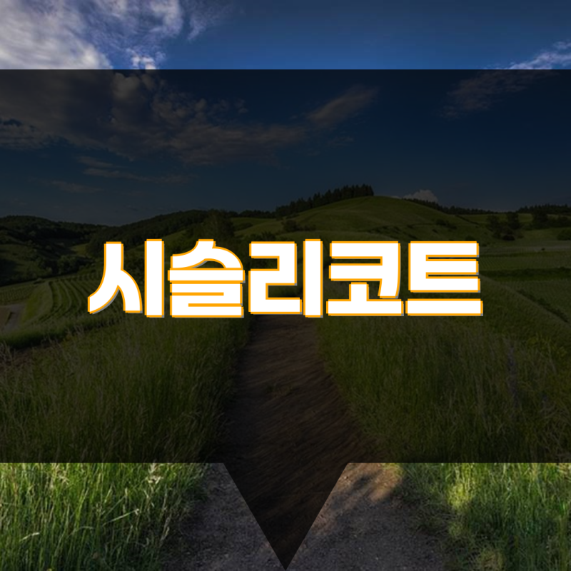 시슬리코트 트렌치형 핸드메이드 롱코트 완벽 가이드  패션 시슬리 스타일 팁