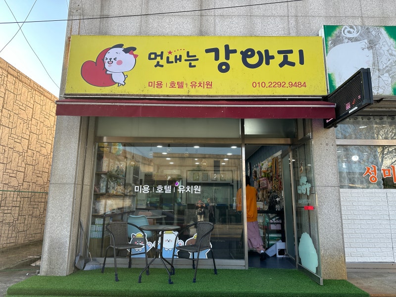 사진 2