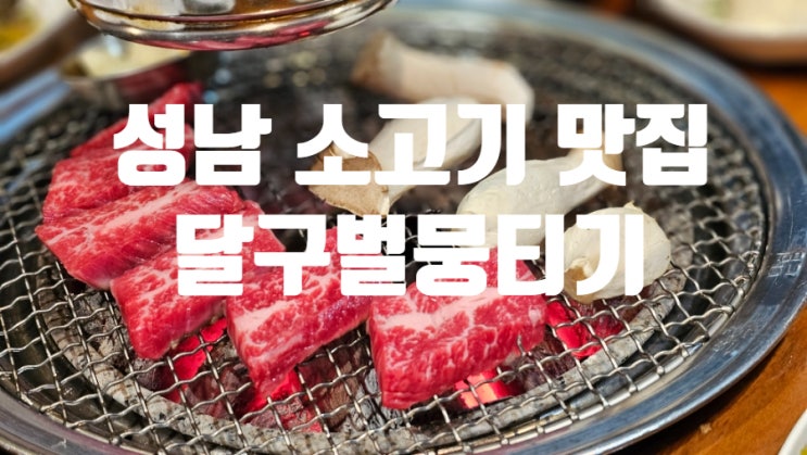  [성남] 분당 서현역 소고기 찐맛집 '달구벌뭉티기', 단체모임 및 가족식사 데이트로도 적격!