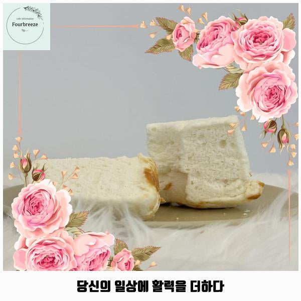 사진 6