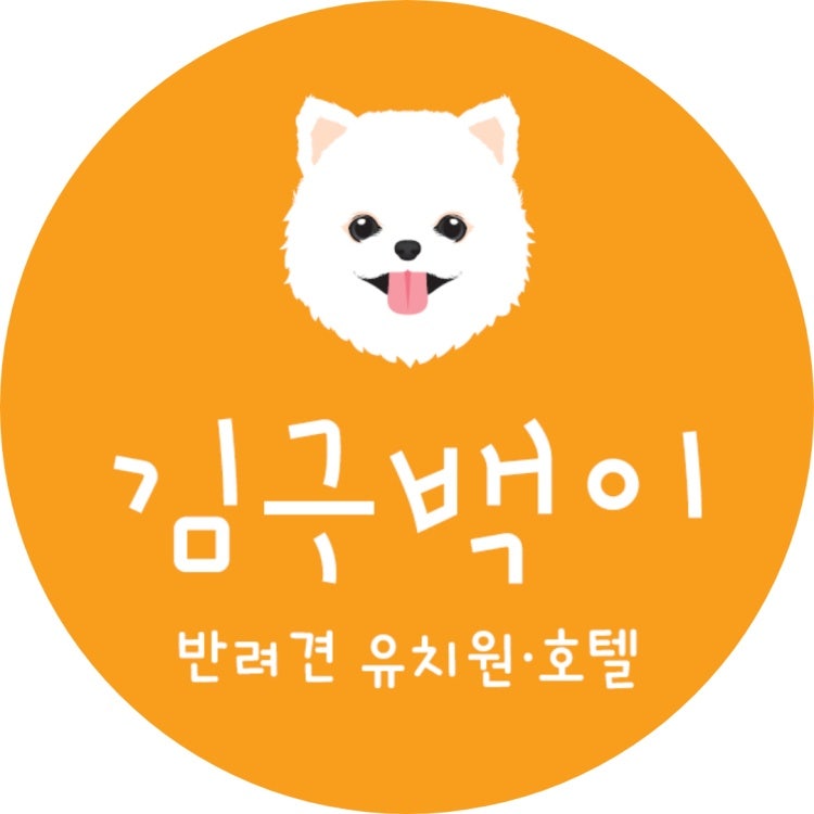 사진 7