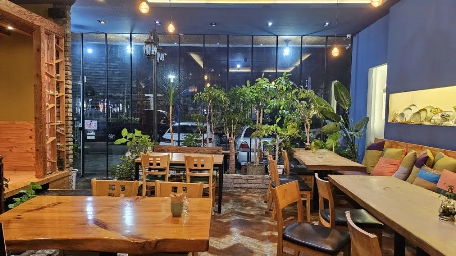 차휴 사진 4