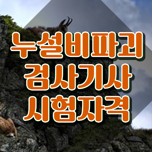  누설비파괴검사기사 응시자격 온라인 과정으로 빠르게 준비한 팁