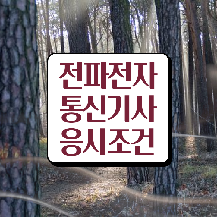  전파전자통신기사 합격 전파전자통신기사 시험자격 학점은행제로 편하게 완료한 전략