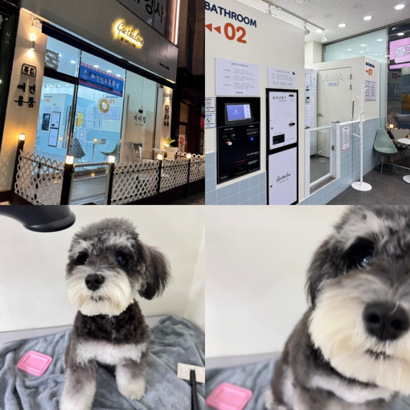 사진 4