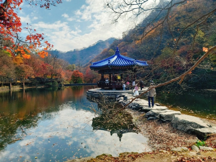  2024 내장산 단풍절정, 주차장, 무료셔틀, 먹거리