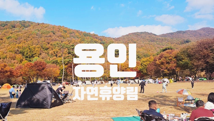  용인자연휴양림 아이와 가볼만한 곳 추천 텐트 가져올걸