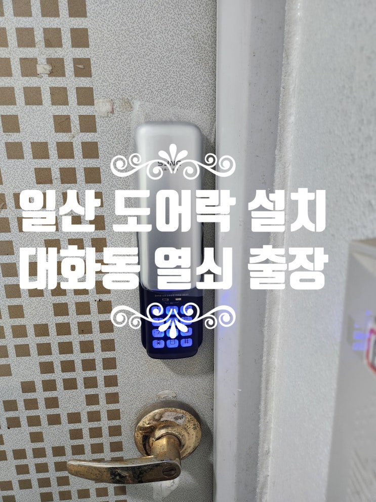  일산 대화동열쇠 다세대빌라 현관 번호키 고장, 보조키 도어락 교체 설치