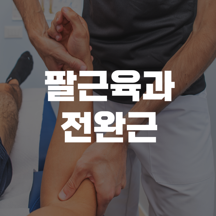 팔뚝 근육과 전완근: 그립과 팔 안정성 강화 팔뚝 근육과 전완근: 그립과 팔 안정성 강화