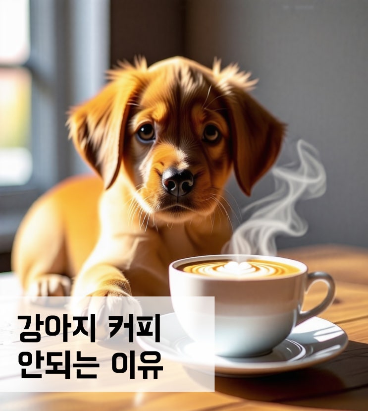  강아지 커피 마시면 안되는 이유