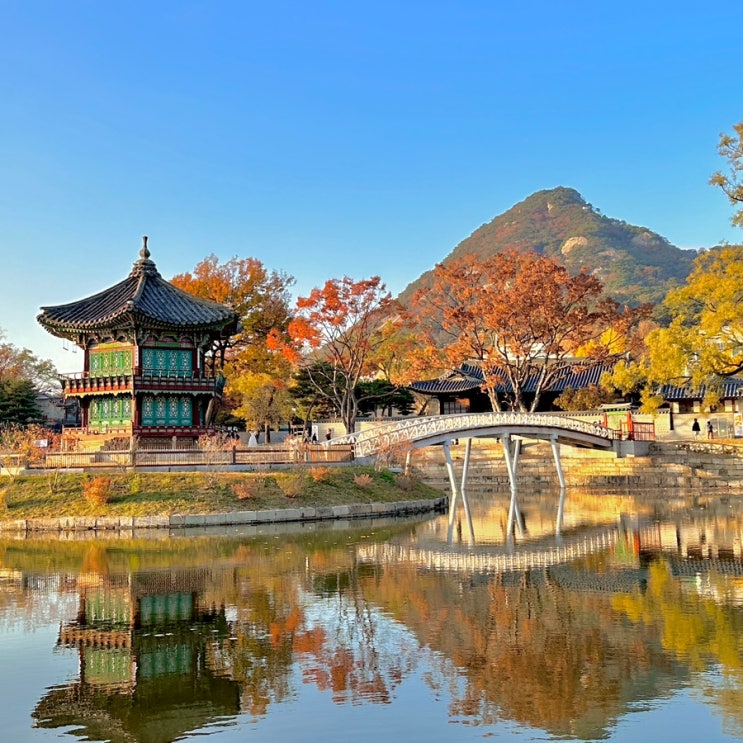  경복궁 향원정 단풍 완벽 가이드 관람시간 구경 포인트 총정리