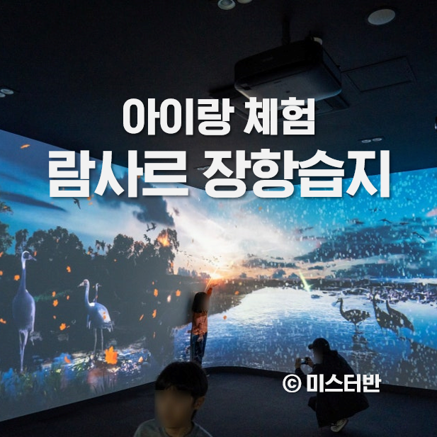  람사르 습지 장항습지 아이랑 체험 후기