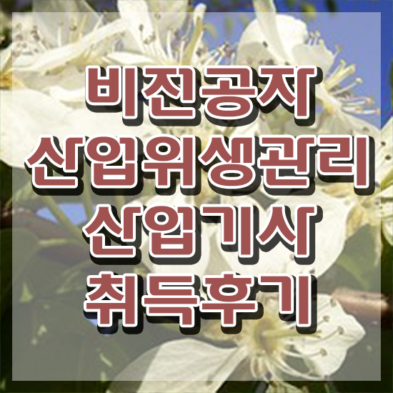  산업위생관리산업기사 자격증 산업위생관리산업기사 응시조건 온라인으로 편하게 준비한 비법