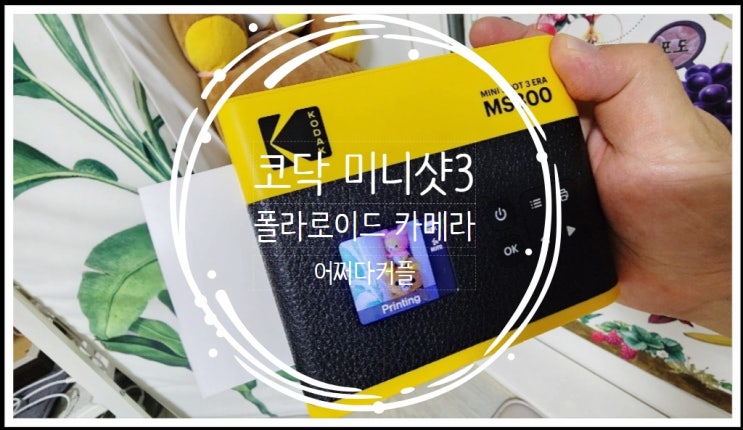  가을 감성을 집으로 불러 온 카메라 추천 ~ 코닥 미니샷 3 ERA 폴라로이드 카메라
