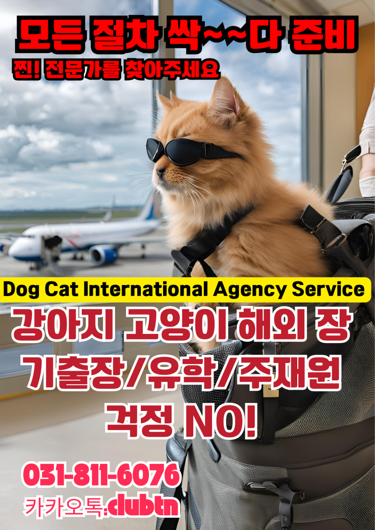  강아지 고양이 반려동물 반려견 애완견 애완동물 대형견 해외 이민 유학 주재원 전문 서비스