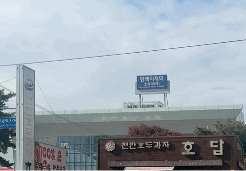  출생신고서 열람 및 발급 준비물 비용 등록기준지 확인(ft.만 30세까지)