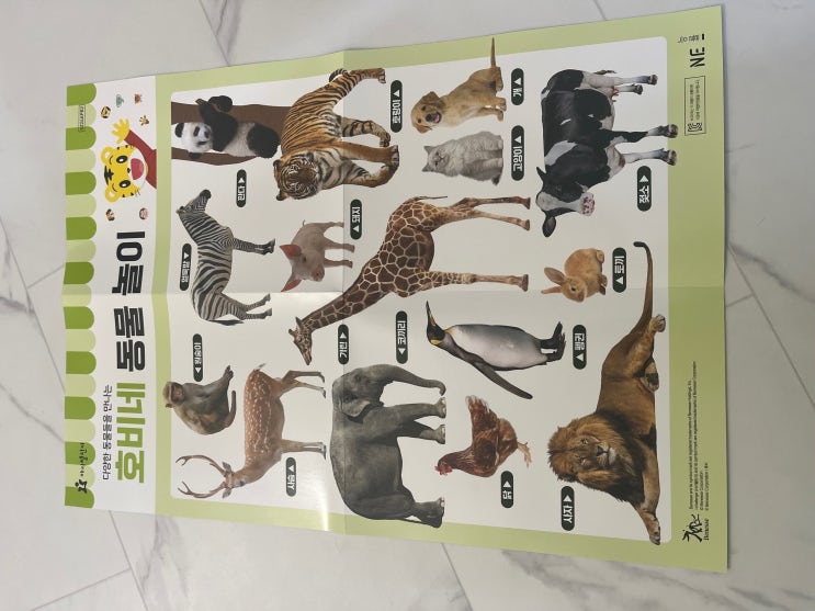  호비 학습 브로마이드 무료증정