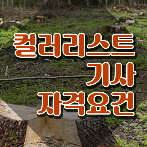  컬러리스트기사 2024 컬러리스트기사 시험응시자격 집에서 온라인으로 단기간에 끝낸 노하우
