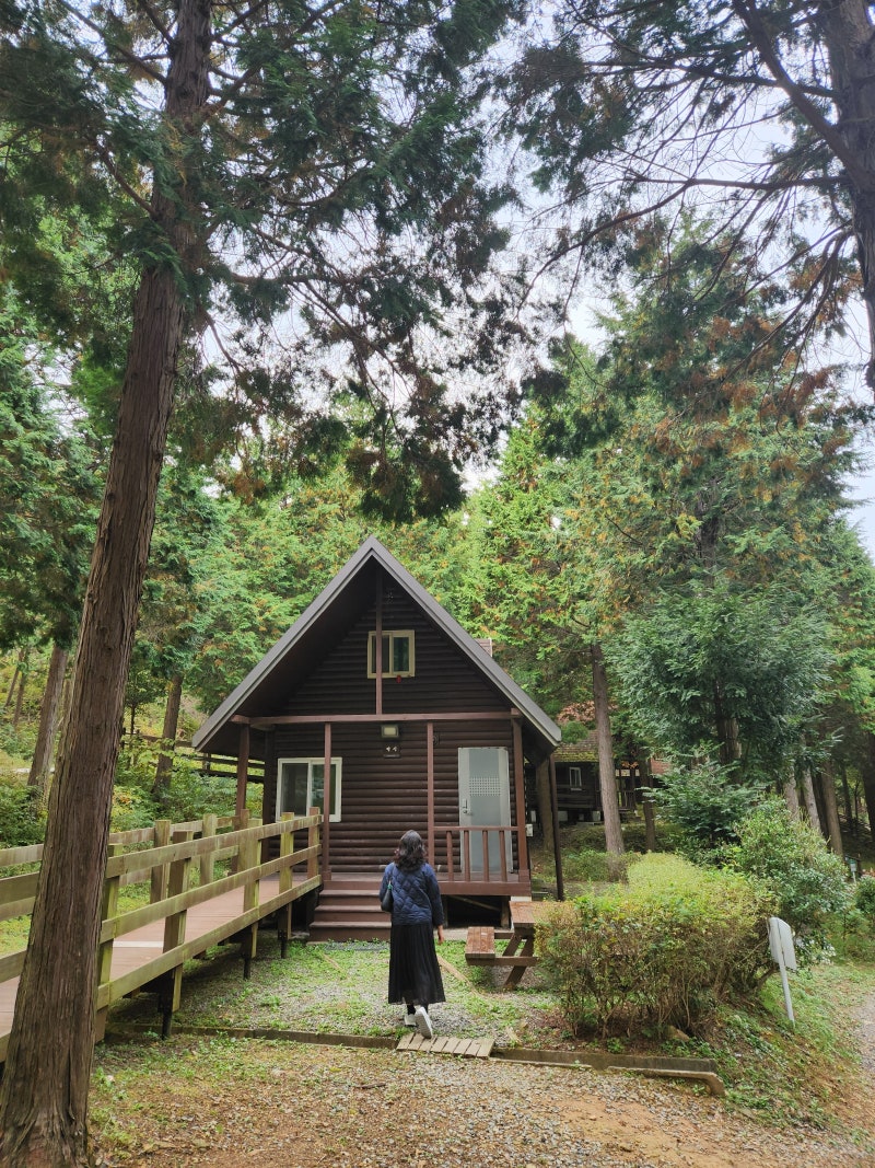 남해한달살기 Day15 남해 가볼만한곳 국립남해편백자연휴양림