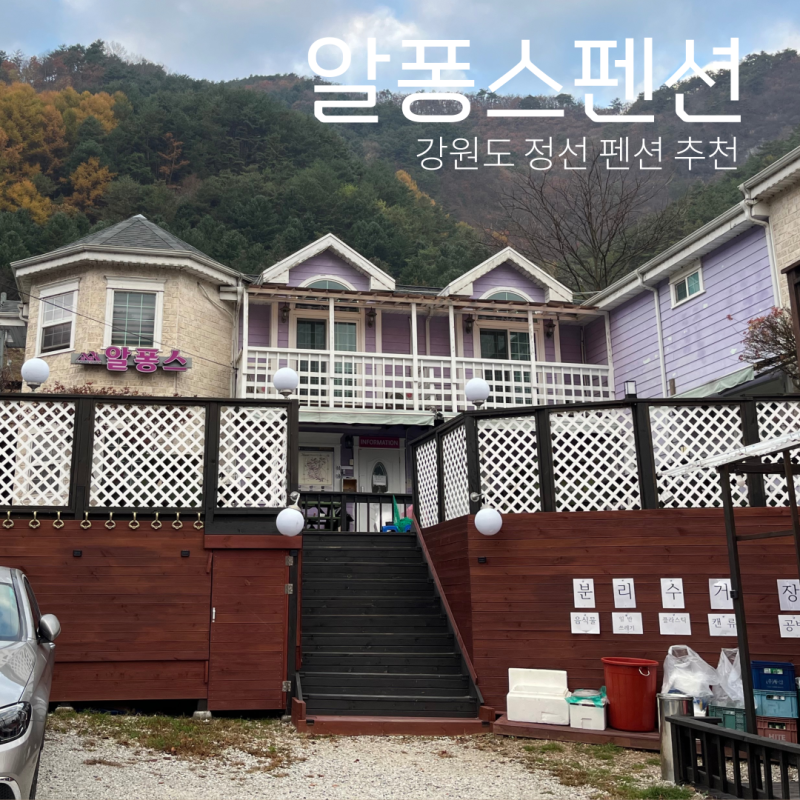 사진 3
