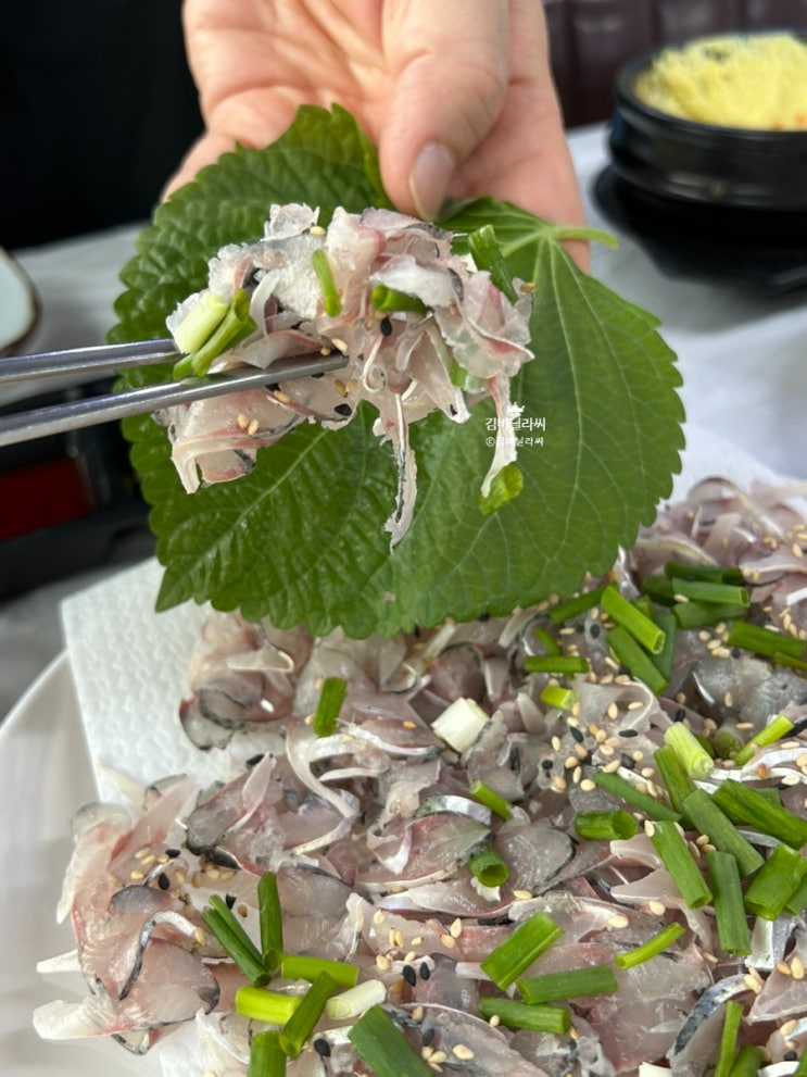  울산 야음동 맛집 수암회센터 통영횟집 소문난초장 추천
