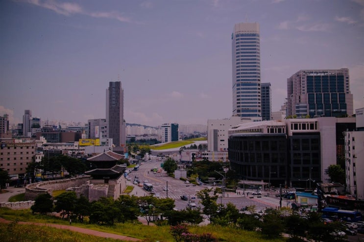  동대문고기국수의 유래와 역사